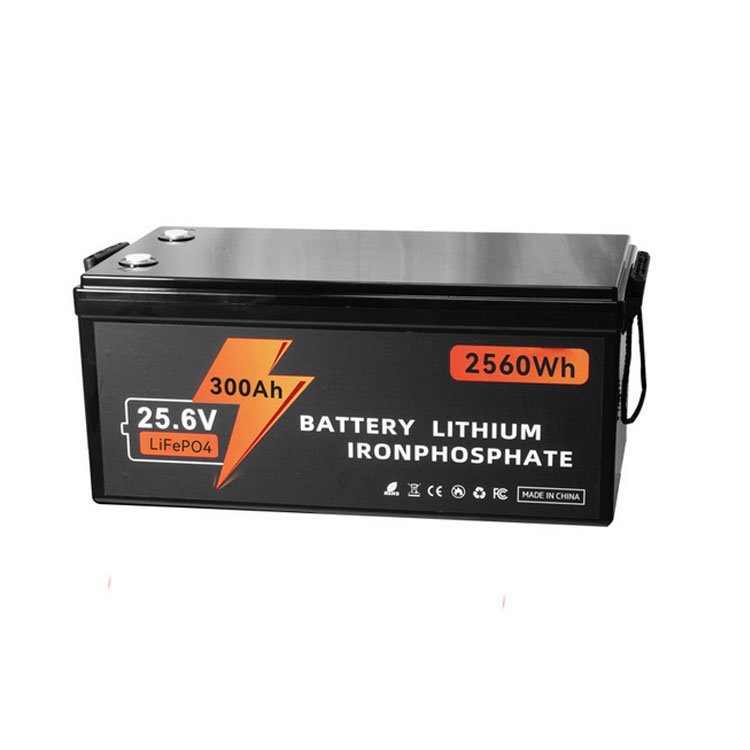 Rechargeable Lithium Ion Battery 24V 12V 200Ah 300Ah 100Ah Lifepo4 Battery Packs For RV EV Boat Energy Storage Battery
