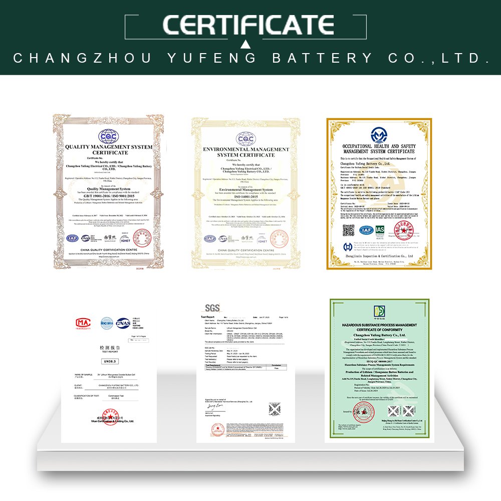 CR2450 3.0V Primary Lithium Manganese Dioxide Coin Cell - 600mAh for Home Appliance Digital Price Tags by Henli Max