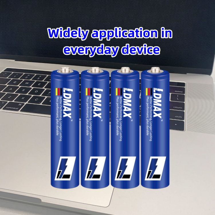 LDMAX OEM Factory Cheap Price Triple A 1.5v Dry Cell Battery Zinc Carbon R03P AAA Primary Battery for digital scale