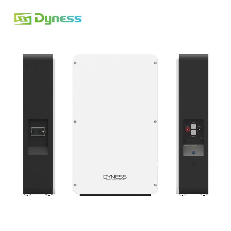 Dyness 51.2V 10kWh-30kWh Powerwall Lithium Battery Wall-Mounted 10kW Lifepo4 Solar System Home Energy Off-Grid IP65 Protection