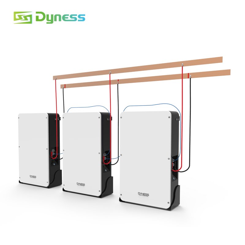Dyness 51.2V 10kWh-30kWh Powerwall Lithium Battery Wall-Mounted 10kW Lifepo4 Solar System Home Energy Off-Grid IP65 Protection
