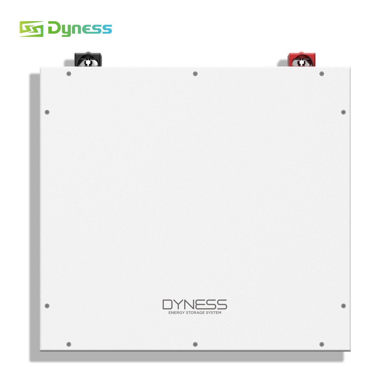 Dyness DL5.0C 51.2V Lithium Battery 100ah 300ah Solar Storage Battery Home 5kwh 10kwh 15kwh Wall-Mounted Rack-Mounted Hybrid