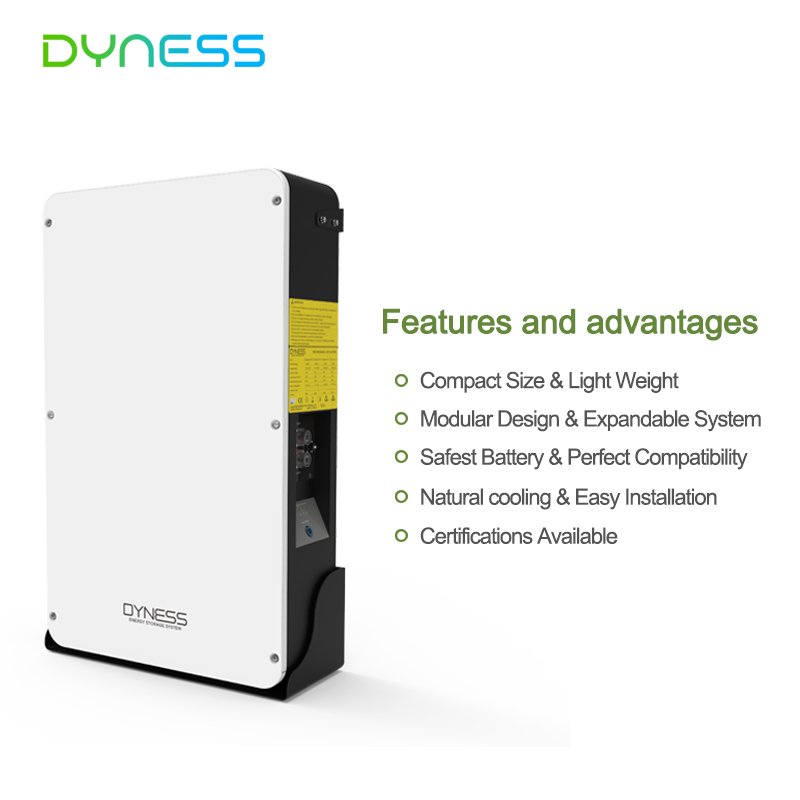 Dyness IP65 Powerbox Pro 51.2v 200ah lithium Power wall lifepo4 battery 10kwh 48v 200ah solar battery for home solar system