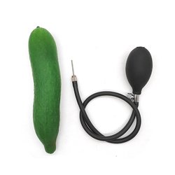 Cucumber