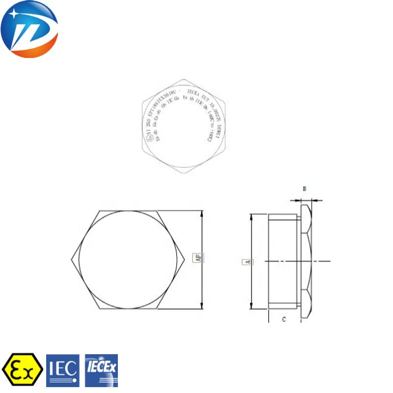 NPT Metric G IP66 brass stainless steel waterproof Explosion-proof male threaded stopping plug With ATEx IECEx Certificate