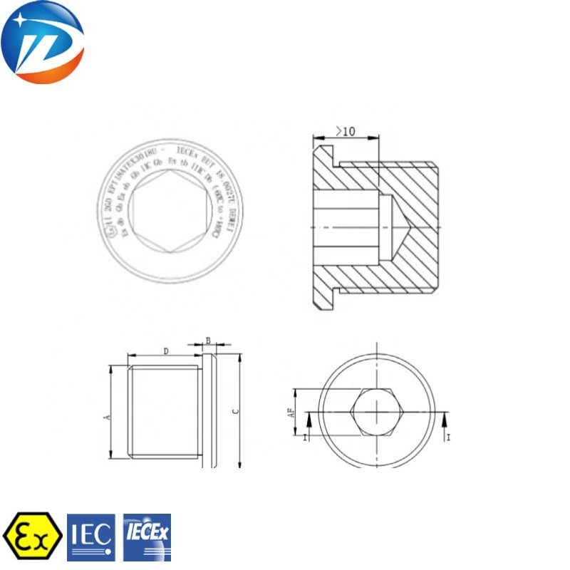 NPT Metric G IP66 brass stainless steel waterproof Explosion-proof male threaded stopping plug With ATEx IECEx Certificate