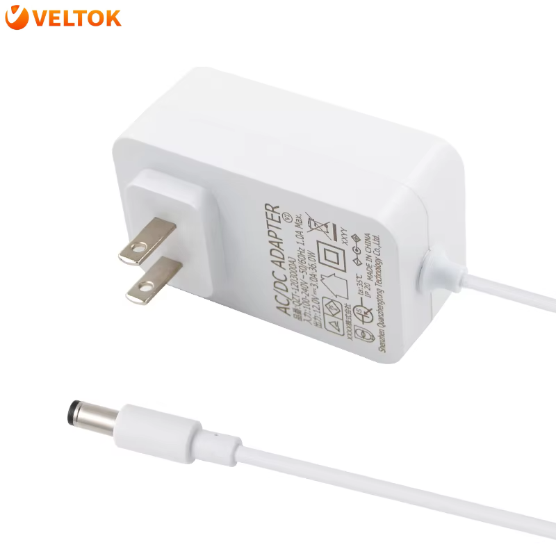 Power Adapter Gs Cb Ac Dc Battery Charger For Ride On Cars For Kids 24v 1a 24w Case Oem Jack Cable Plug Rohs Output Origin Type
