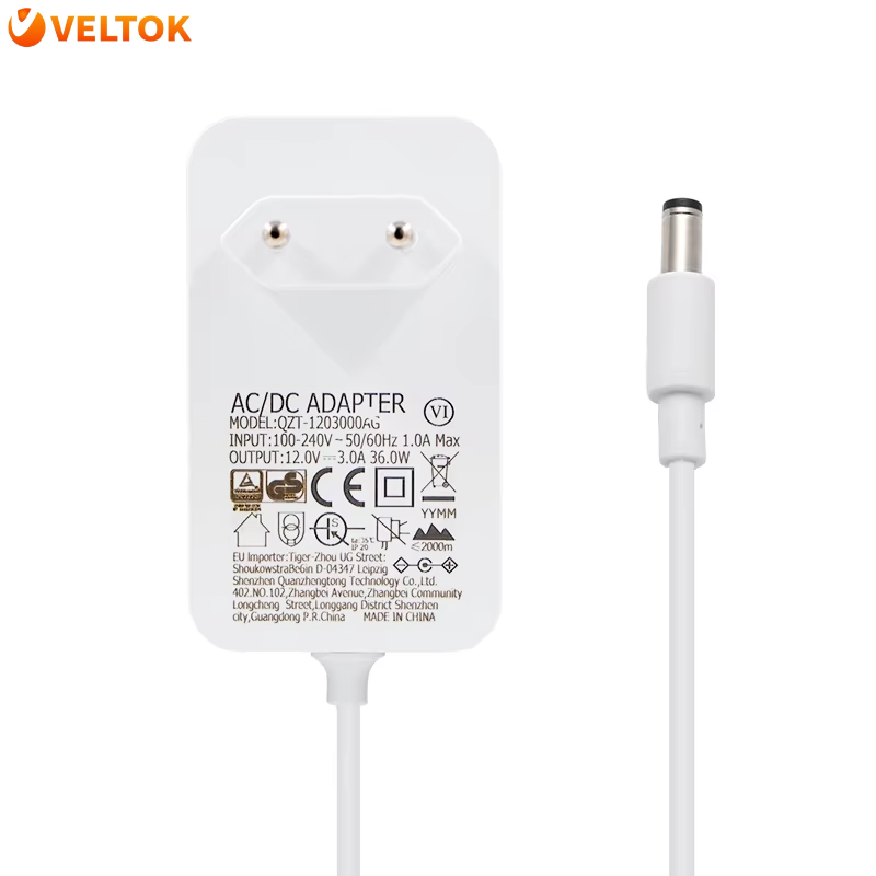 Power Adapter Gs Cb Ac Dc Battery Charger For Ride On Cars For Kids 24v 1a 24w Case Oem Jack Cable Plug Rohs Output Origin Type