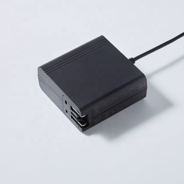 Digital 24V/AC 12V/3A AC Power Adapter 2Amp for LED Strip CCTV Switching Supply with Guangdong DC Plug for Charging China