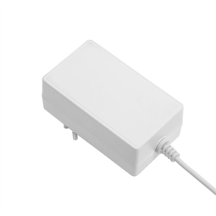 Modern 12v 4a Durable Wall Plug Interchangeable white Power Supply 48w Dc Power Adapter