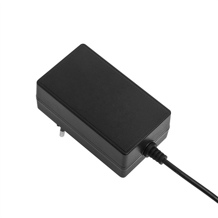 Modern 12v 4a Durable Wall Plug Interchangeable white Power Supply 48w Dc Power Adapter