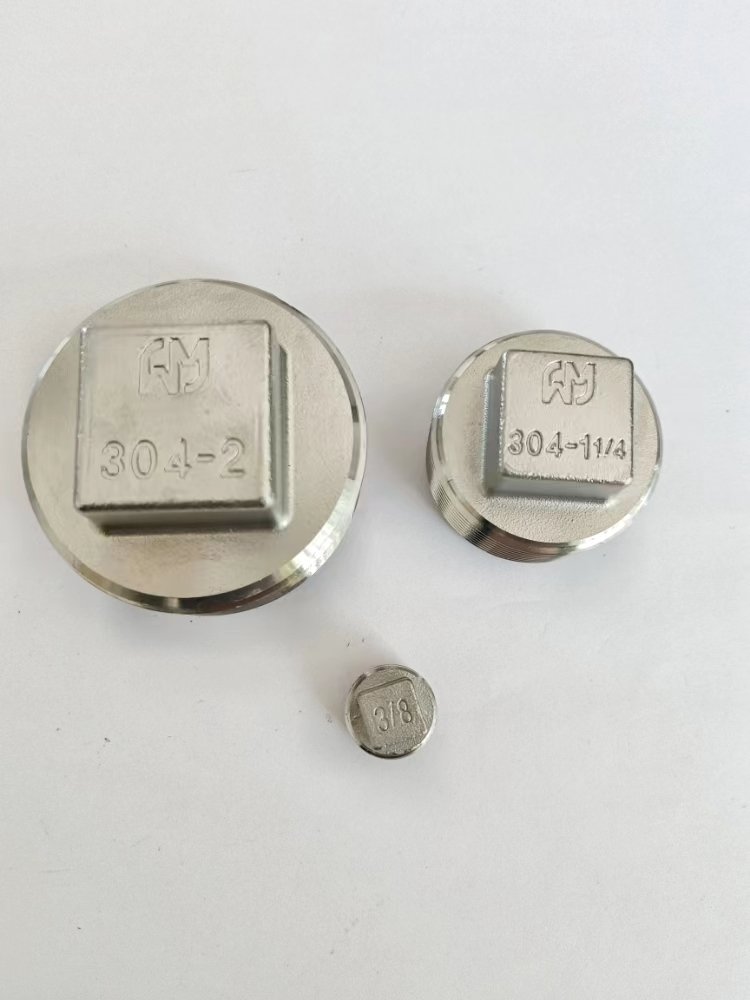 WAMAKATSU OEM SUS304 Stainless Steel 1/8'JIS NPT Male Thread Casting Adapters Four-corner Internal plug