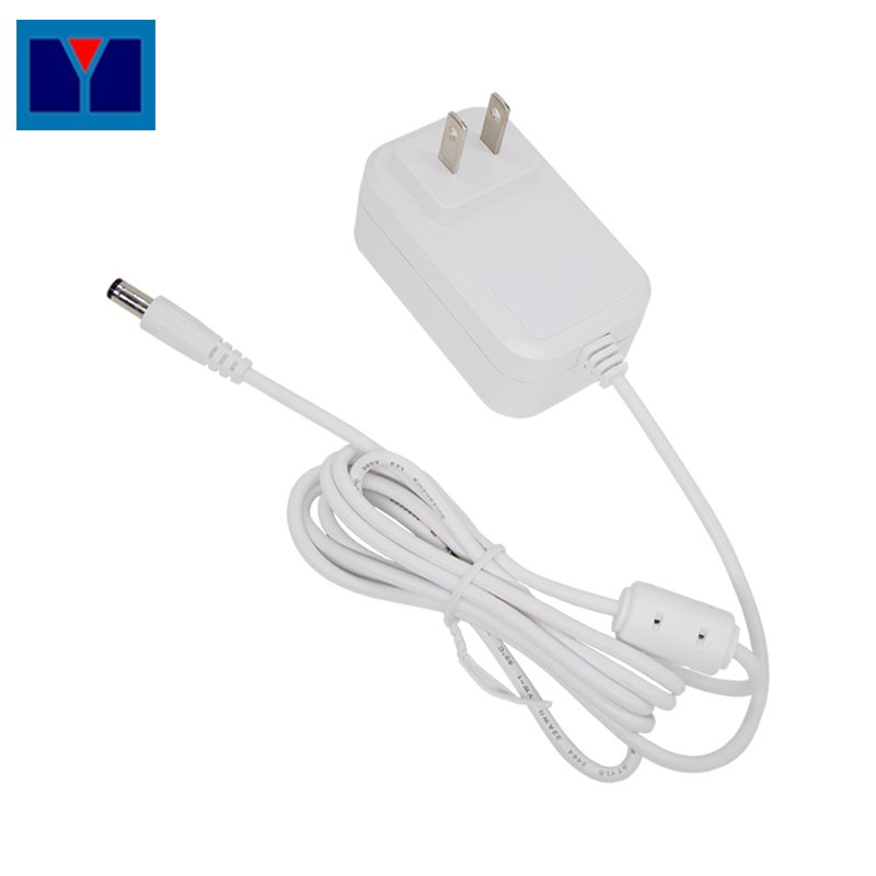 US standard Plug in style 20w Universal Travel 5v 4a power adapter 2024 products