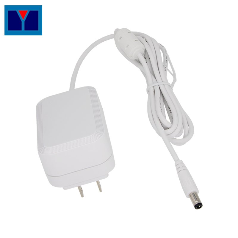 US standard Plug in style 20w Universal Travel 5v 4a power adapter 2024 products