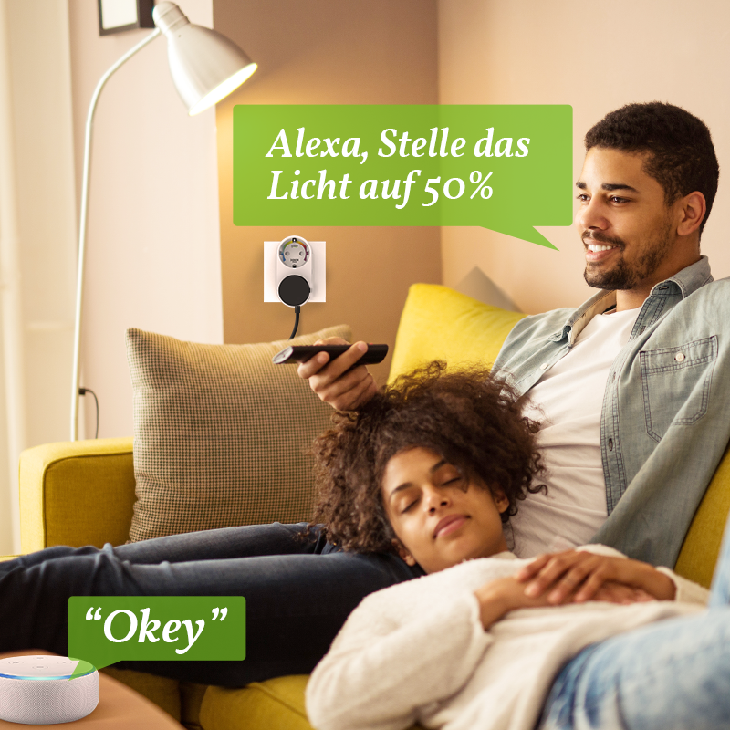 WIFI EU Smart Plug tuya app white 16A Voice Control compatible with AM Alexa wifi smart plug