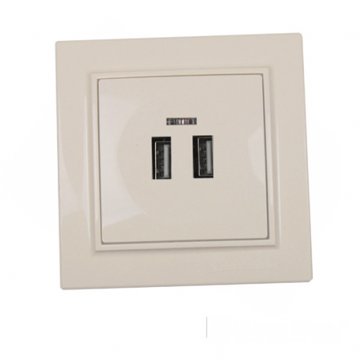 Wholesale Modern High Quality 2A USB Wall Socket 220V IP22 50/60Hz ABS Plastic With 2 USB Ports UK US EU Plug Standards