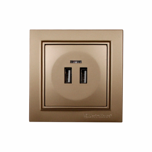 Wholesale Modern High Quality 2A USB Wall Socket 220V IP22 50/60Hz ABS Plastic With 2 USB Ports UK US EU Plug Standards