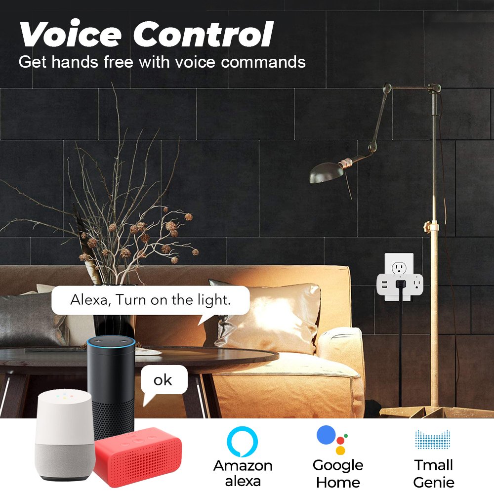 SMATRUL Wireless Remote Voice Adapter Charging Port Timer Google Home Alexa 16A US Plug Tuya Wifi Smart Usb Socket