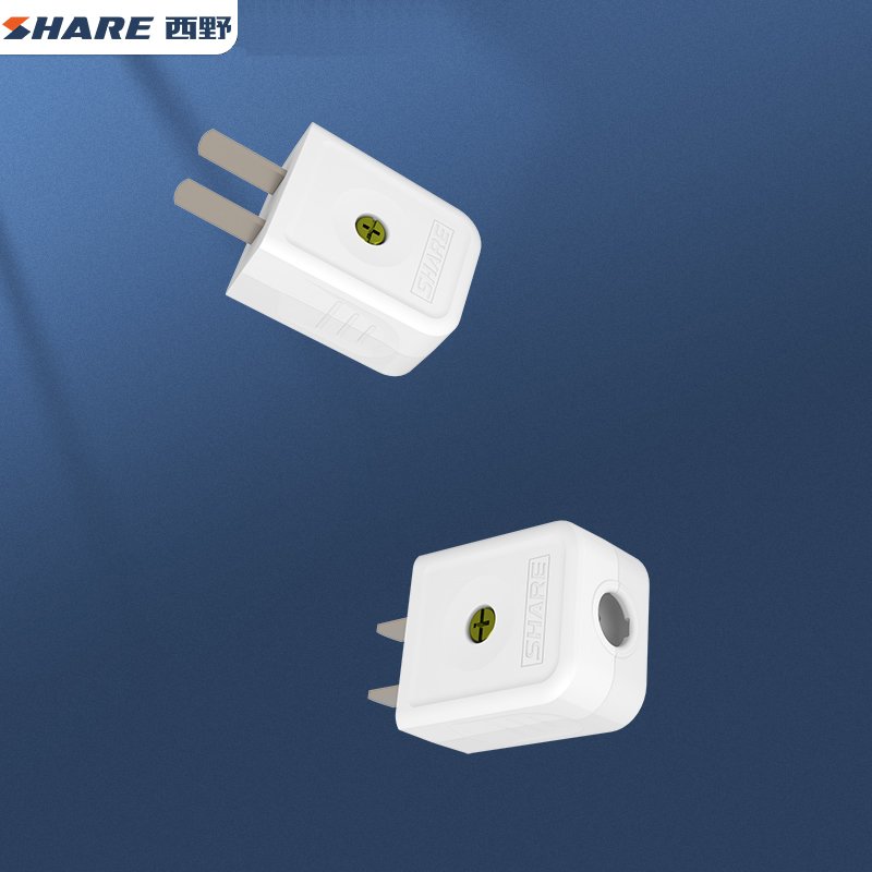 2022 SHARE Good Quality New Two Pin Plug/Two Pole Plug 10A Plug China Manufacturer For Cambodia Market