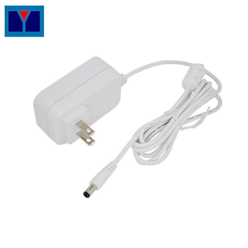 2024 product AC DC 5V 12V 24V 36W schuko plug adapter Power Supply For CCTV Camera