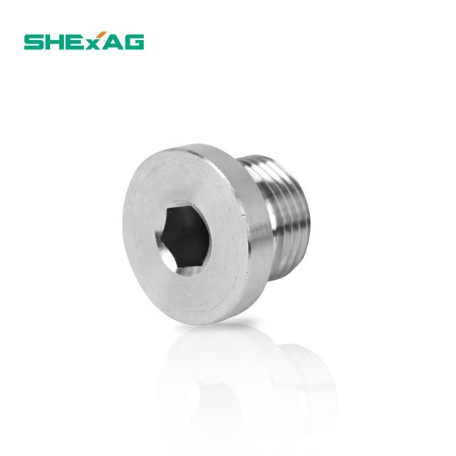 Free Sample M G NPT type brass stainless steel IP66,IP68 Allen/Dome head Stopping/Blanking Plug