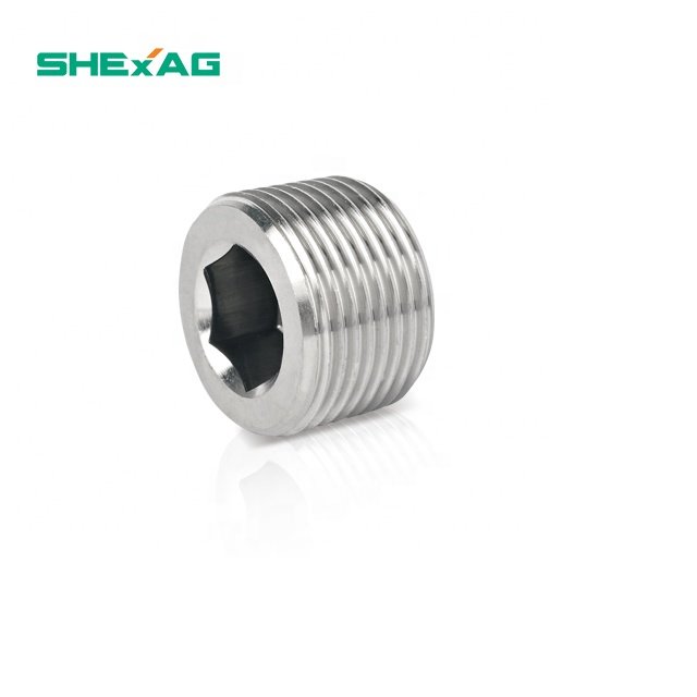 Free Sample M G NPT type brass stainless steel IP66,IP68 Allen/Dome head Stopping/Blanking Plug