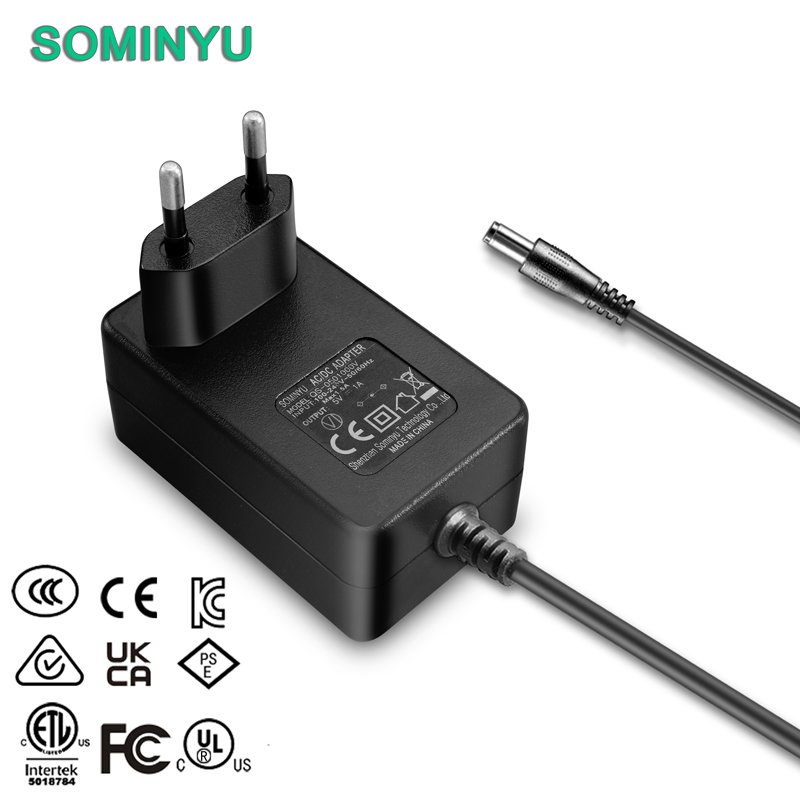 En62368 En60335 Certified 100 240V 50 60Hz AC to DC 12V 1.5A 18W Efficiency Level VI Power Adapter with EU Plug