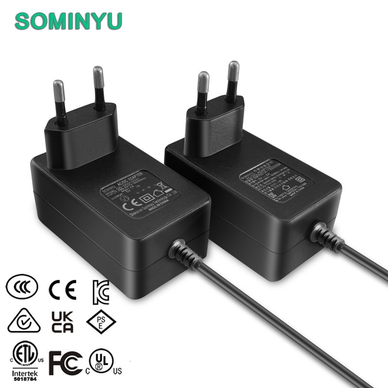 En62368 En60335 Certified 100 240V 50 60Hz AC to DC 12V 1.5A 18W Efficiency Level VI Power Adapter with EU Plug