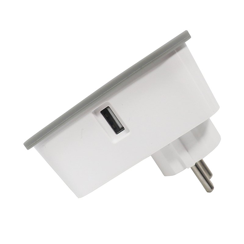 Single FR Outlet 2 USB Charging Ports WiFi Smart Wall Tap with Switch