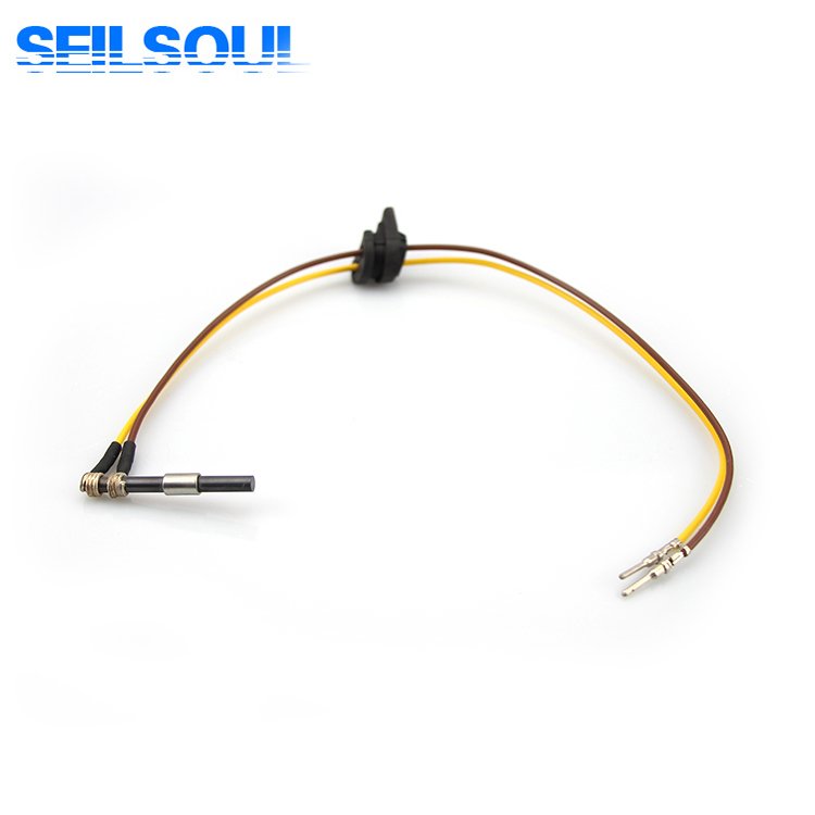 252106011000 Dieser parking heater glow plug 8V suitable for Eberspacher D2 D4 D4S used in all diesel Parong parts truck