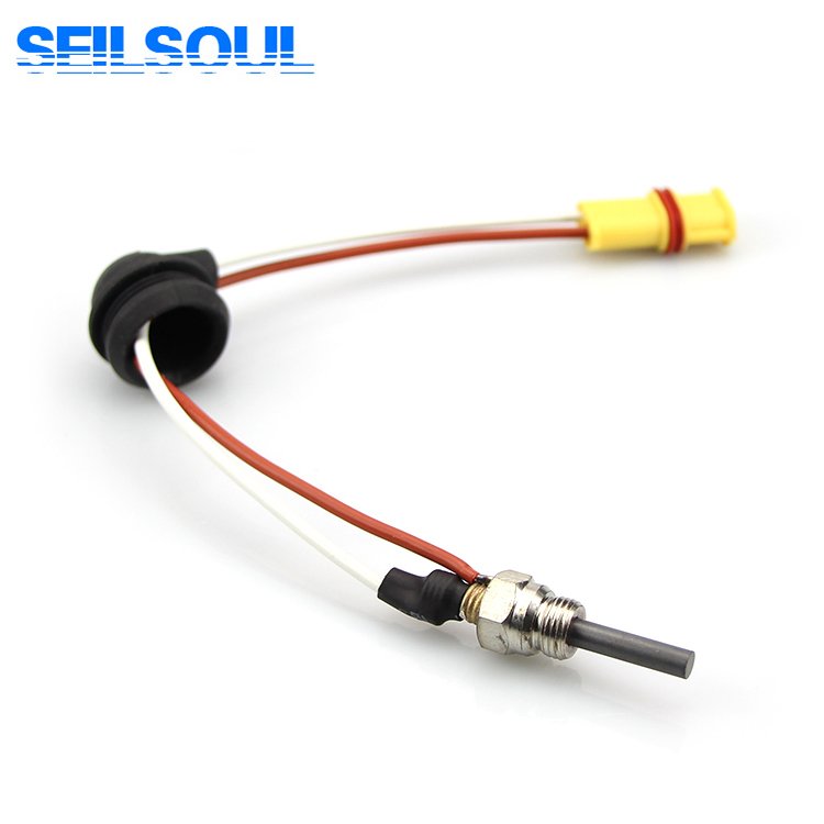 252106011000 Dieser parking heater glow plug 8V suitable for Eberspacher D2 D4 D4S used in all diesel Parong parts truck