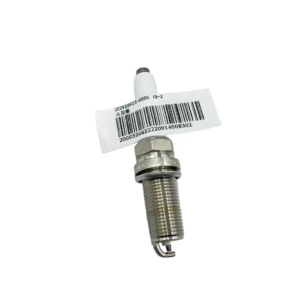 202V25923-0005 SINOTRUK Truck Gas Engine 7U4D Spark Plug Factory Spark Plug