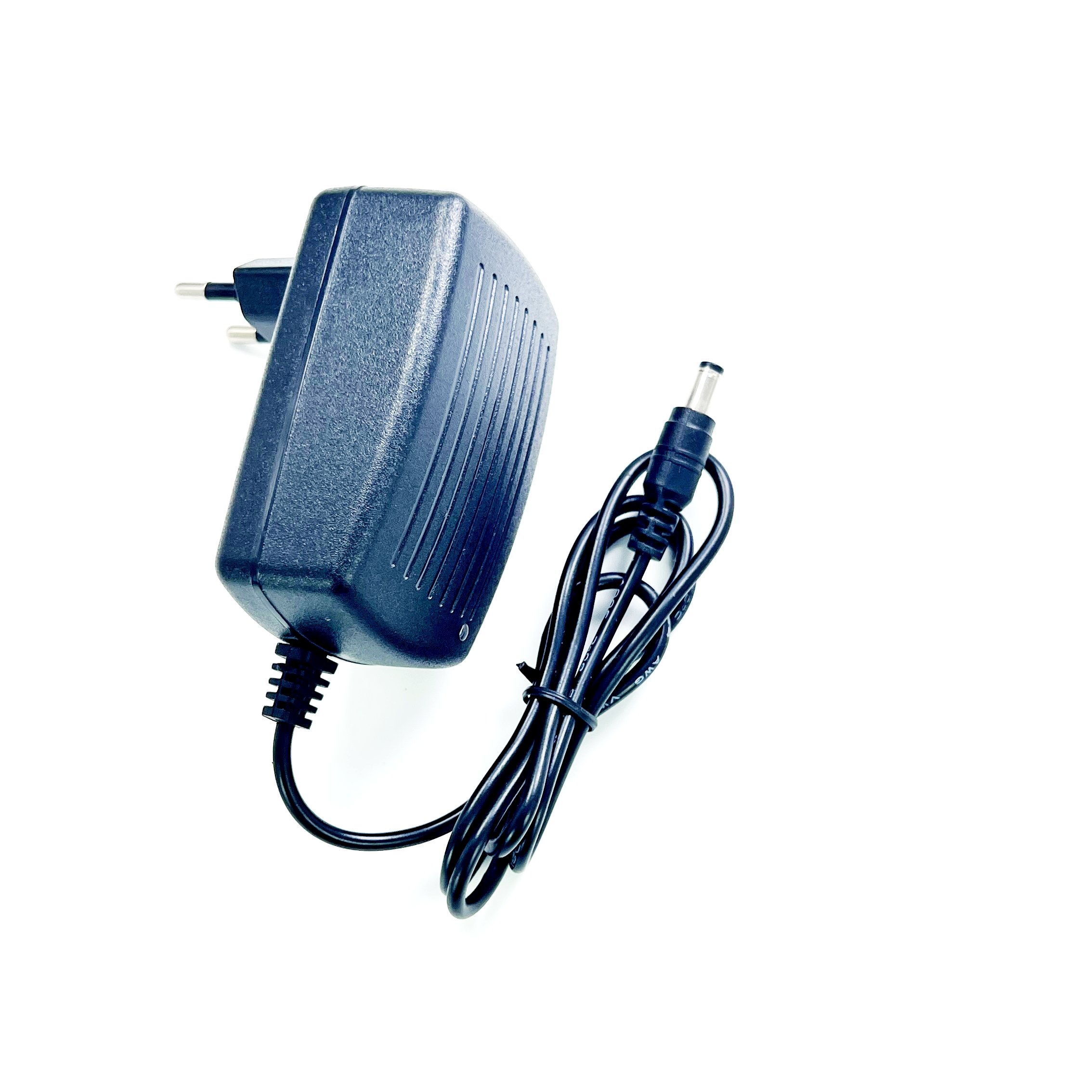 US EU 24V Power Wall Plug for Nail Art Light Therapy Machine Water Purifier Motor AC DC 24V 2A Power Adapter