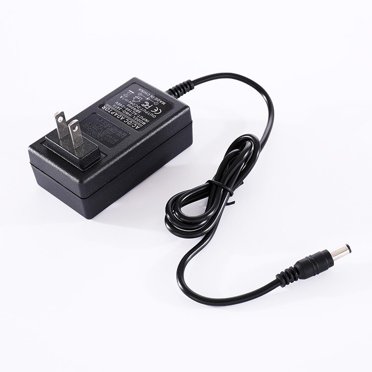 24W Switching power adapter AC/DC 12V2A 24V1A Wall-mount interchangeable plug(US/EU/UK/AU/CN) power supply Wall Charger