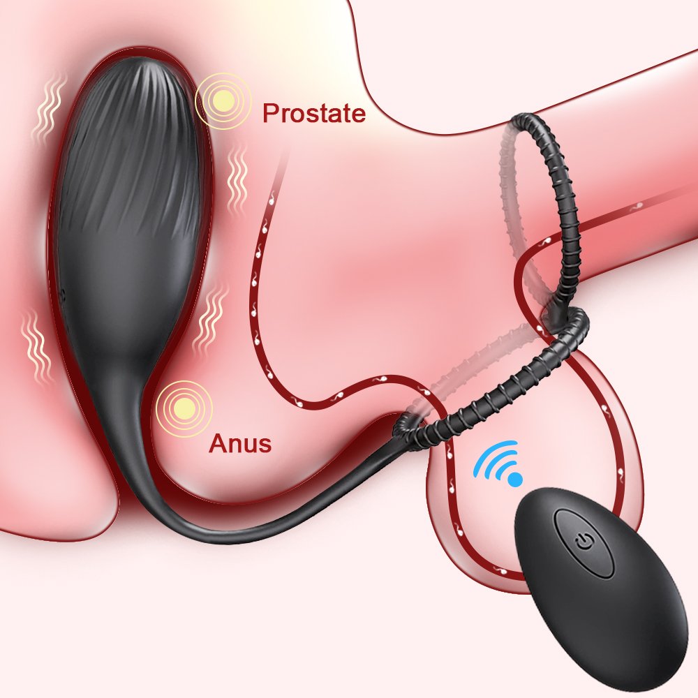 Hot Selling Plug Massager for Male Double Ring Rotation Vibrates the Plug 9 Patterns Powerful Vibration Tow Control Modes