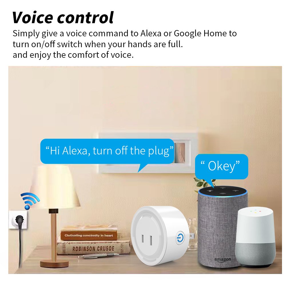 2022 Smart Socket Adapter Wholesaler WiFi 2 Pin Japan Plug Tuya Smart life App Wireless Voice Control with Alexa Power Outlet