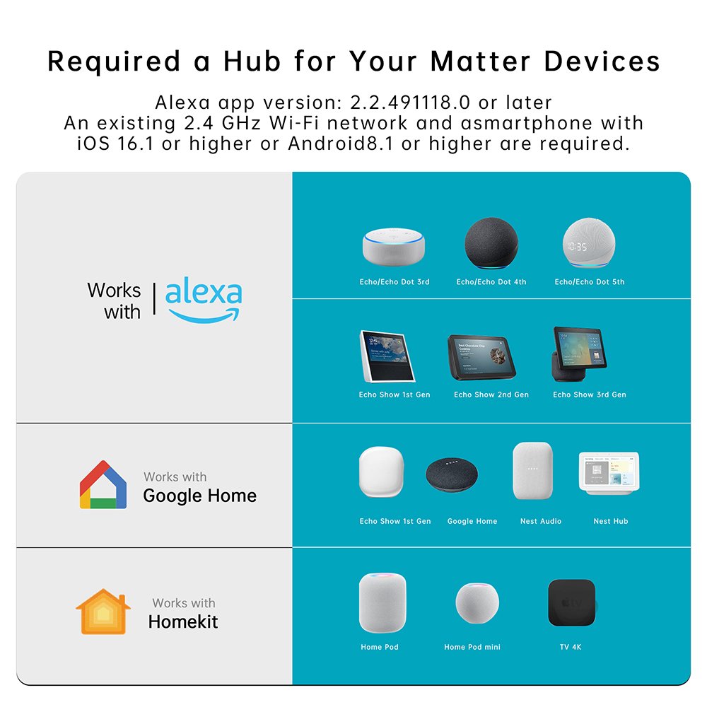 10A Smart Matter Socket WiFi US Plug ACK For Socket Support Google Home Alexa Homekit Plugs & Sockets