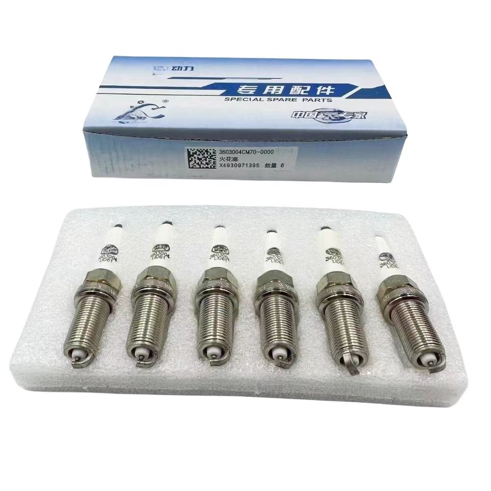3603004CM70-0000 Spark Plug for Xichai Gas Engine, Original Genuine
