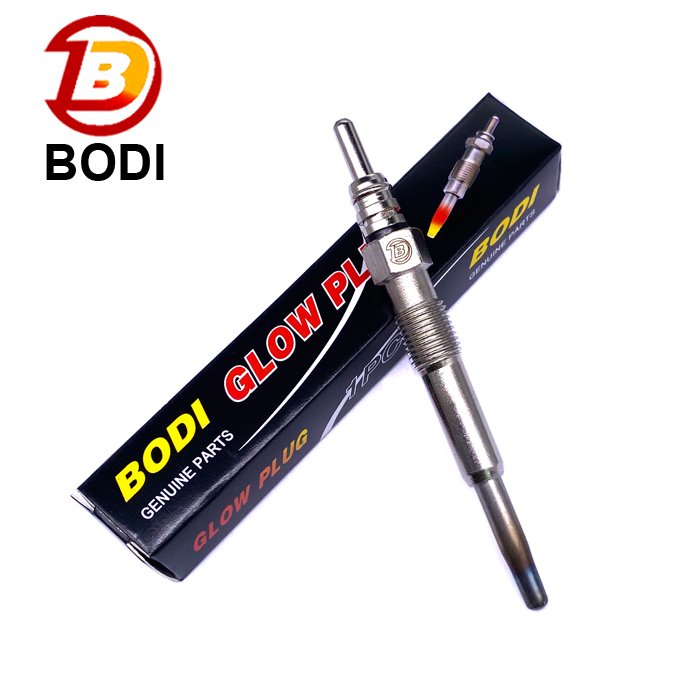 0250202022 Glow Plug applicable for the RENAULT, VW, and AUDI.