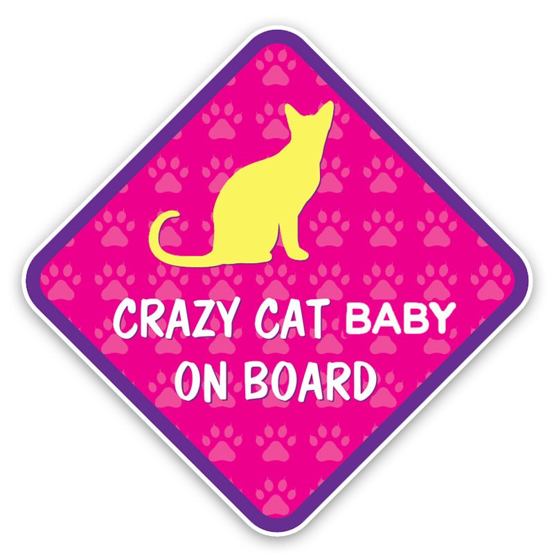UV Proof Adhesive Baby On Board Warning Individual Die Cut Logo Stickers Bumper Sticker PVC Custom Printing Car Stickers