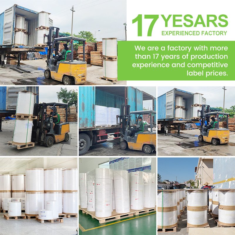 Blank Self Adhesive Direct Thermal Roll Logistics Package Printing Sticker Label