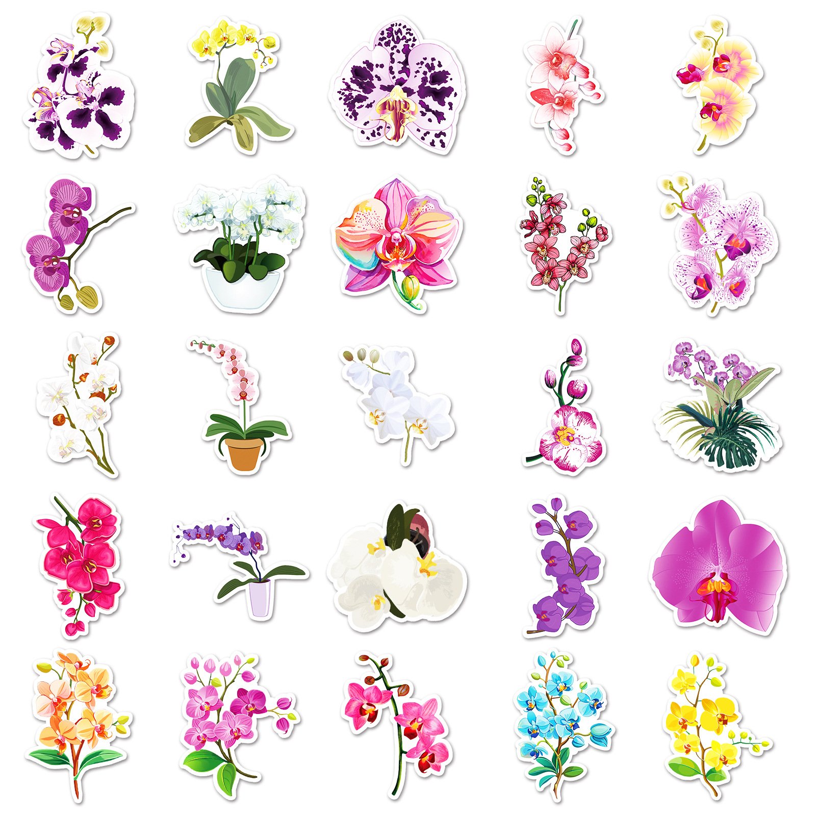50PCS Aesthetic flower chrysanthemum phalaenopsis moth orchid stickers