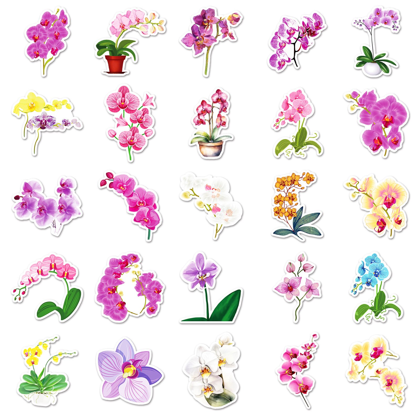 50PCS Aesthetic flower chrysanthemum phalaenopsis moth orchid stickers