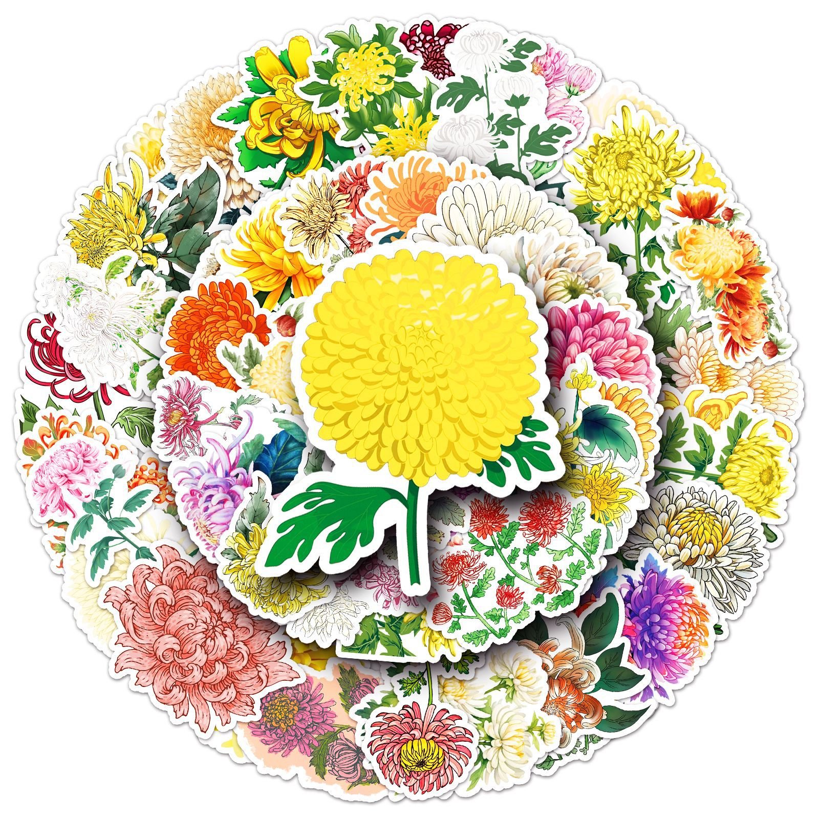 50PCS Aesthetic flower chrysanthemum phalaenopsis moth orchid stickers