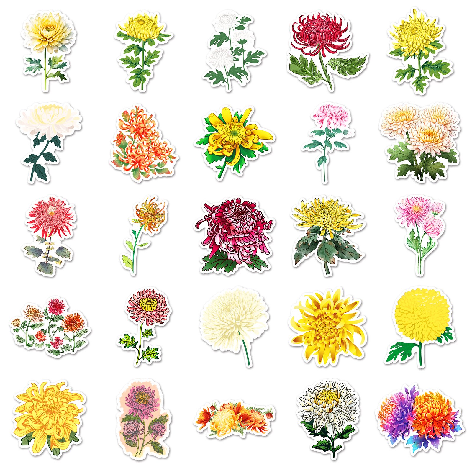 50PCS Aesthetic flower chrysanthemum phalaenopsis moth orchid stickers
