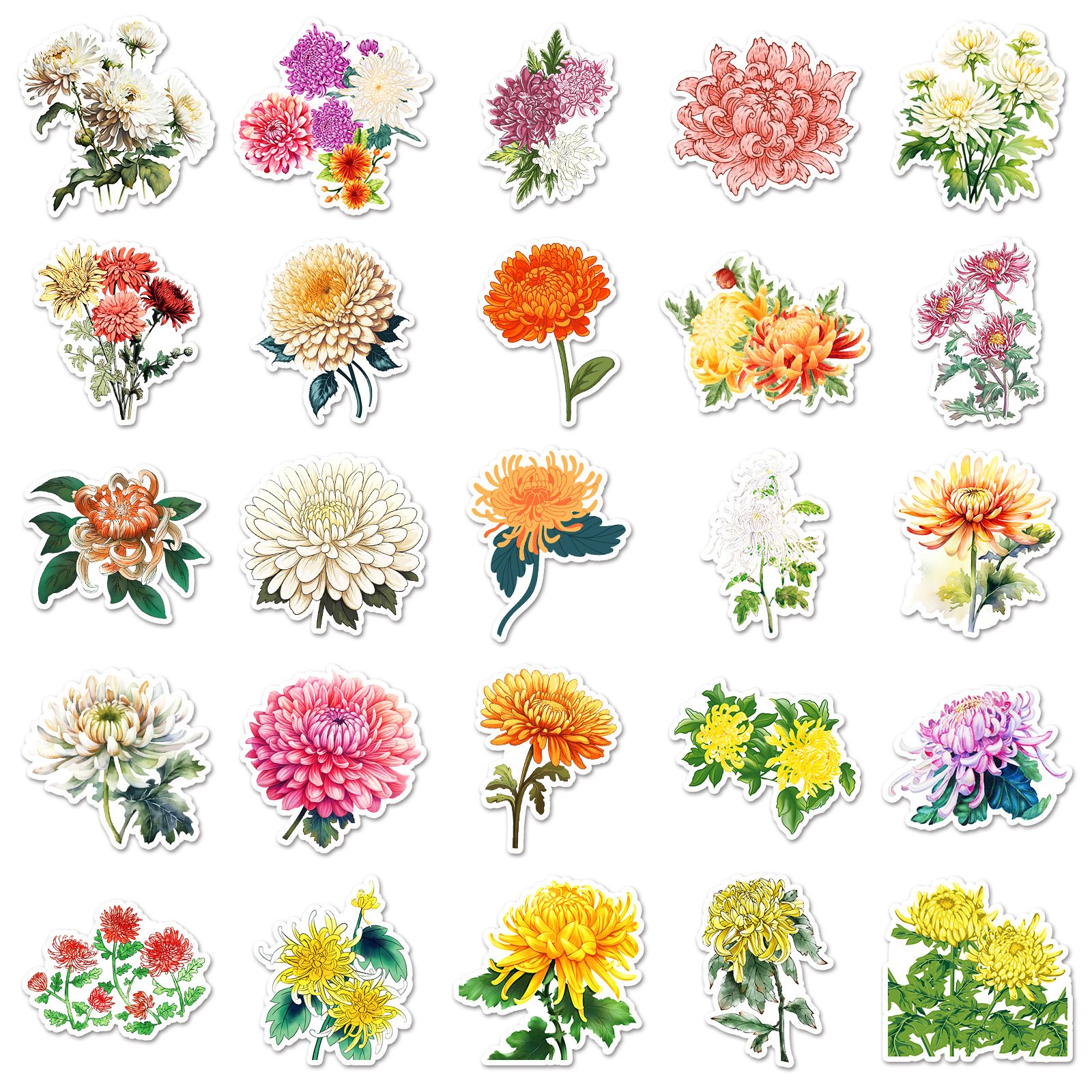 50PCS Aesthetic flower chrysanthemum phalaenopsis moth orchid stickers