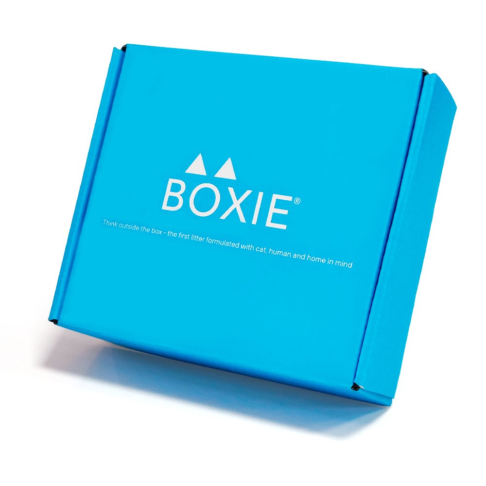 Wholesale Custom Latest Design Corrugated Carton Packaging Gift Boxes Shipping Mailer Boxes