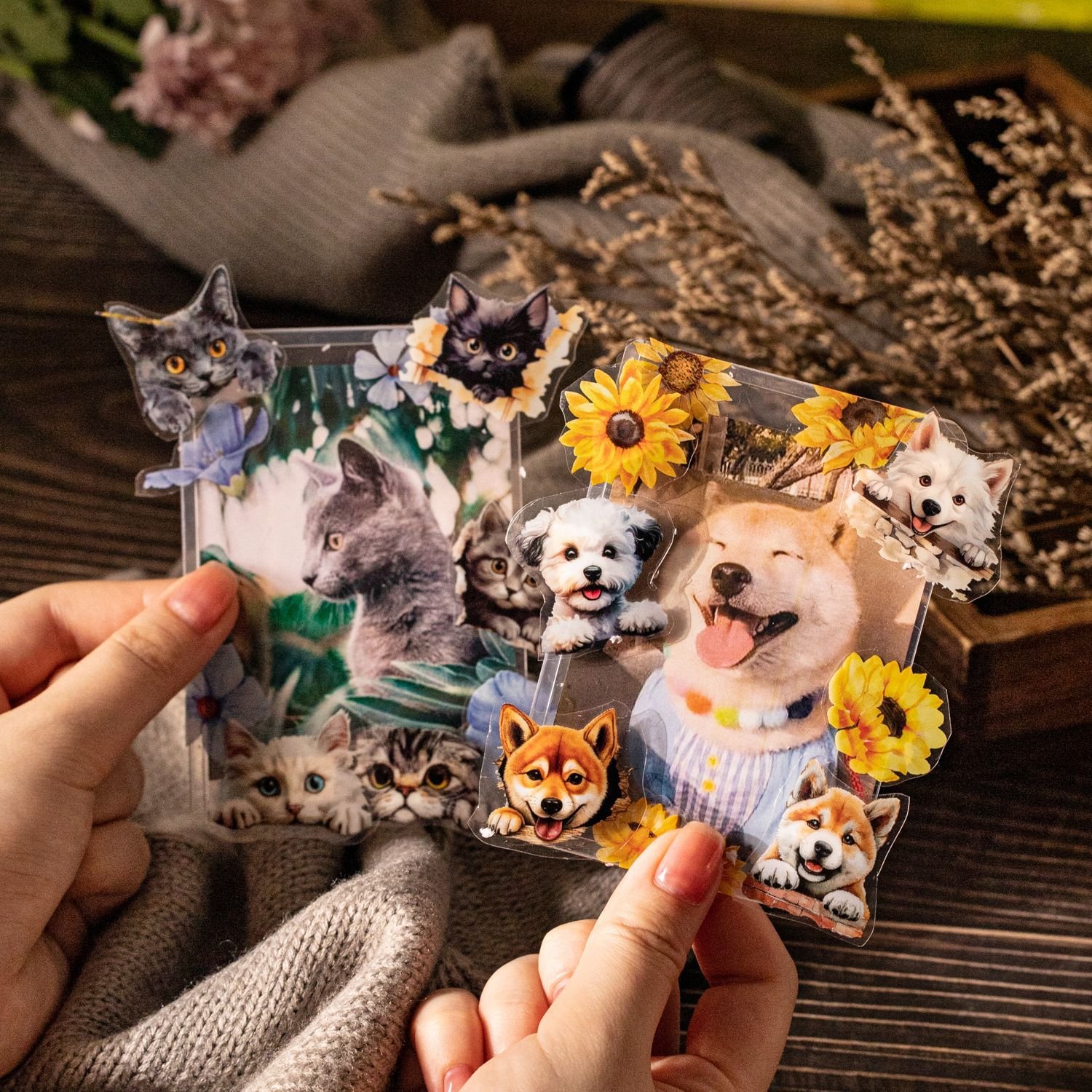 1 roll/box PET tape cat and dog small corner series animal hand account DIY decoration circular stickers 6 styles