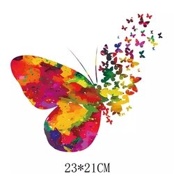OSM-C33