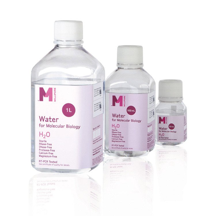 Medical And Health Products Pharmaceutical Nutrition Bottles Custom Logo Stickers Packaging Labels